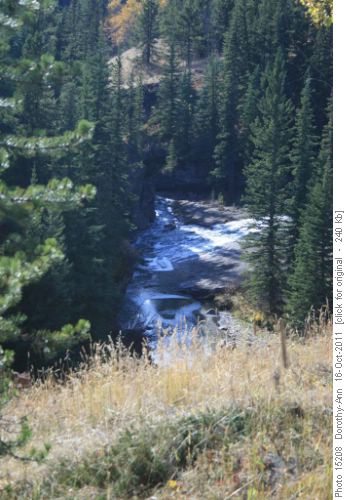 Canyon below Gorge Creek trail
