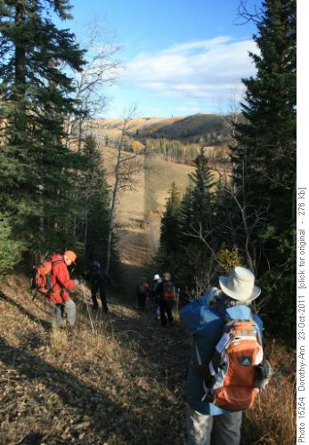 Heading down the first steep hill