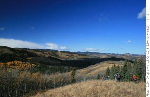 North view along Carey Ridge