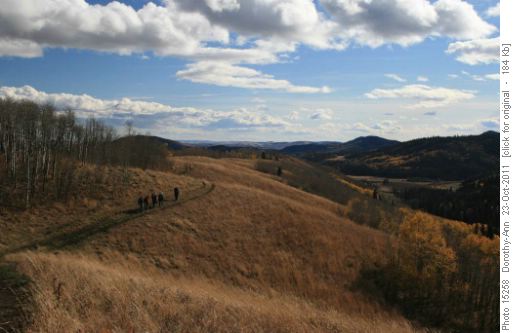 Looking south along rhe ridge