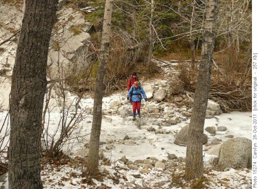 frozen stream