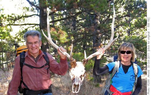{280 Laszlo Jamniczky} & {206 Barb Mitchell} hold up an elk remnant