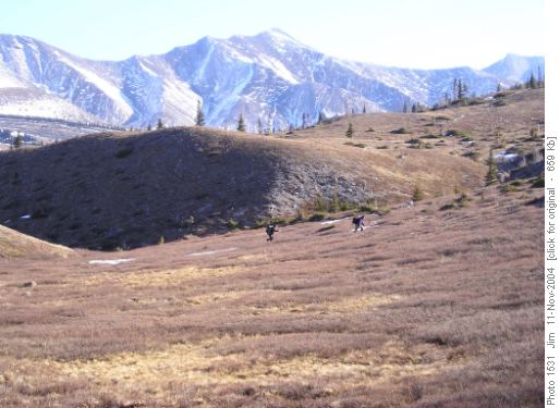 Ramblers striding purposefully towards their objective.