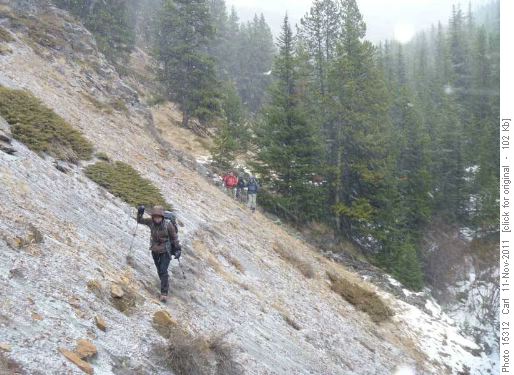 Descending a drainage off Mist Ridge to Mist Creek trail