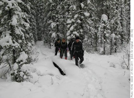 There was a bridge under all that snow!