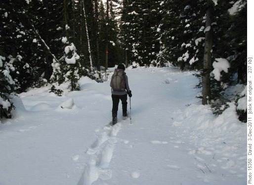 We even had to break trail on the official snowshoe trail