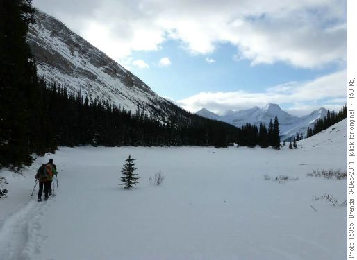 Heading back along the treed edge of the lake