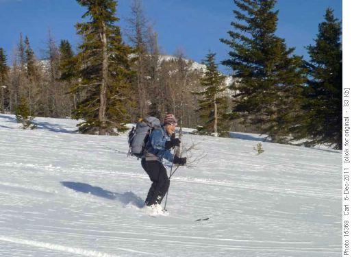 Bill after digging a snow pit