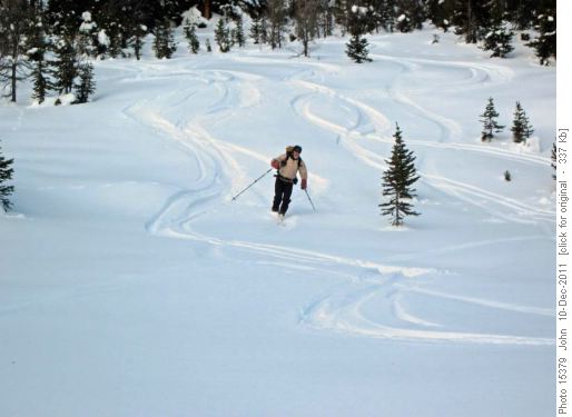 Arnold Bourgeau meadows