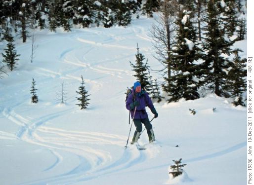 David Bourgeau meadows