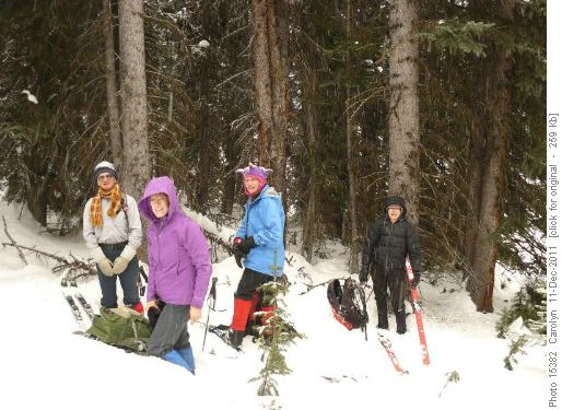 Sawmills Trails