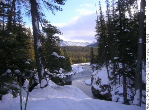 Bryant Creek View