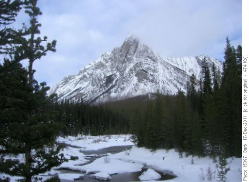 Spray River View