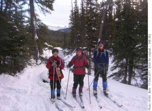 Bryant Creek Group