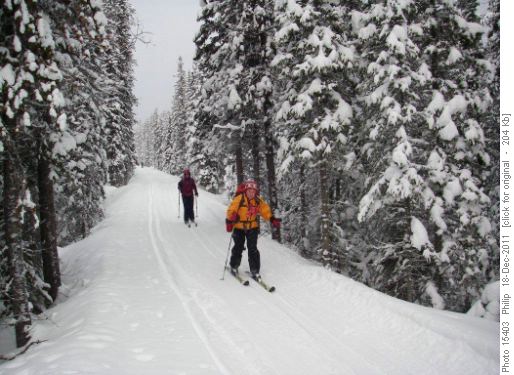 Rita and Maria gliding down upper Tramline