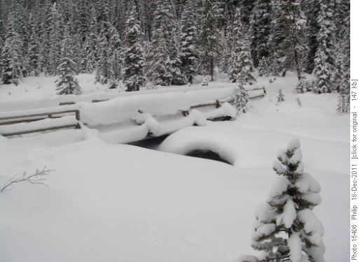 Snow hanging off first bridge