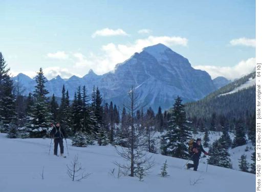 Almost at Halfway Hut (Mt Temple in background)