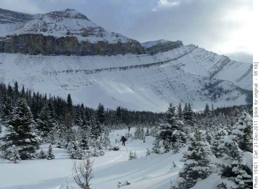 Skiing up to the slopes (Mt Redoubt in background)