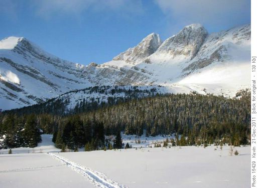 The trail to Hidden Lake