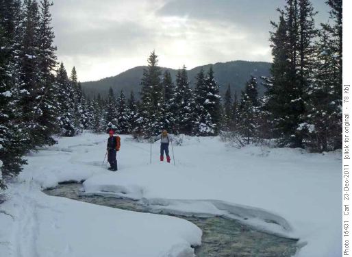 Following Johnston Creek above the Ink Pots