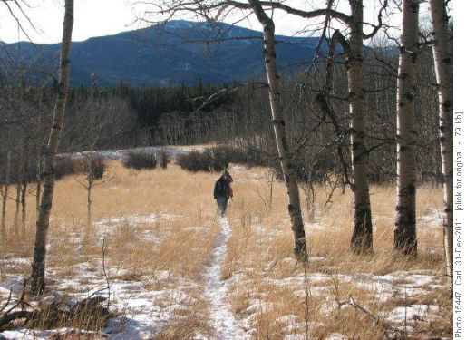 Meadows below Ole Buck Mountain
