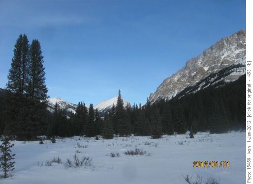 Baker Creek meadows view
