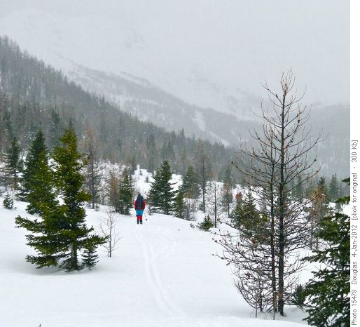 Snowy exit from the Purple Bowl meadows