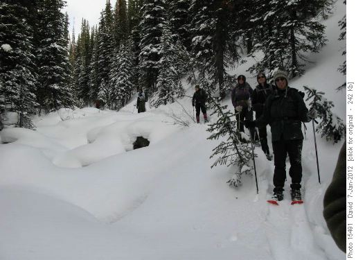 Group returning along the creek