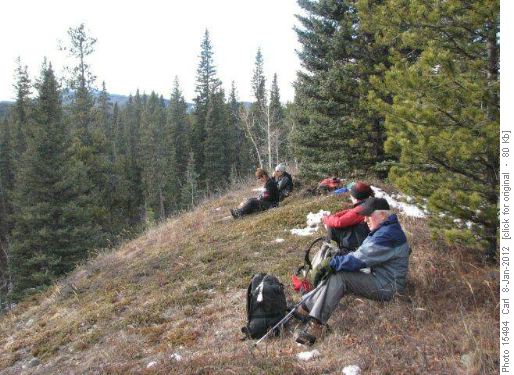 Lunch above Cox Hill Creek