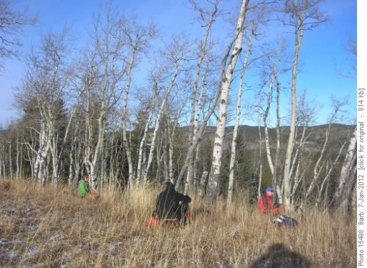 Lunch in a sunny spot on Sandy McNabb, sheltered from the wind.
