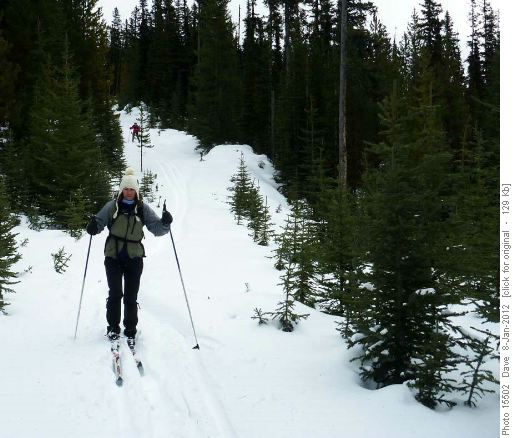 Fresh snow on Red loop
