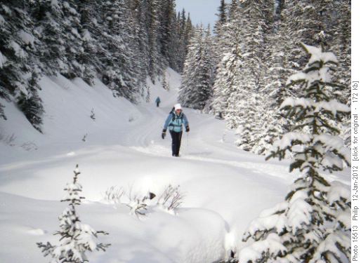 Rosanne heading south on Pocaterra