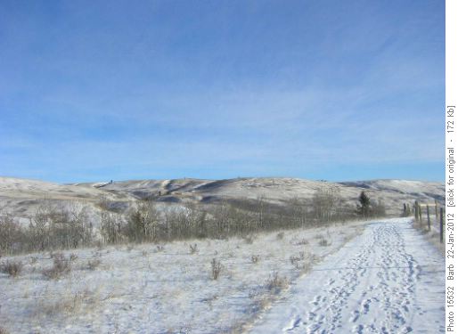 East view from Yodel Loop