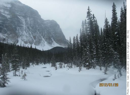 Paradise Creek