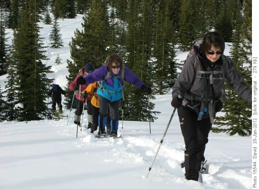 Chugging up the hill