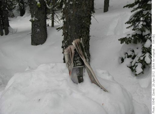 The news... frozen in time