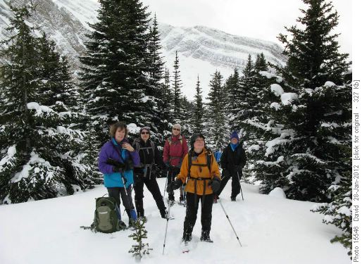 At treeline above the lake