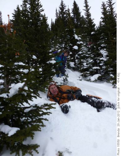 Carolyn extracts herself from a tree well while Dave sinks into one