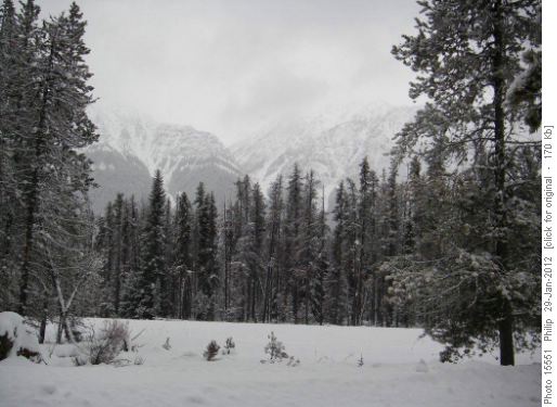 Vermilion River