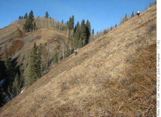 Side hill gouging the canyon to the ridge