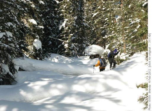 Beginning the off trail adventure