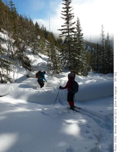 Negotiating deadfall