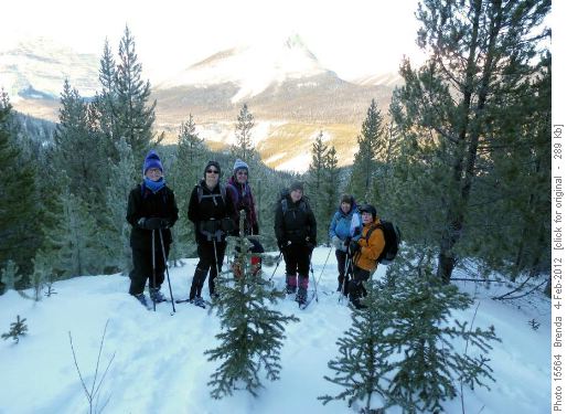 Dave's group