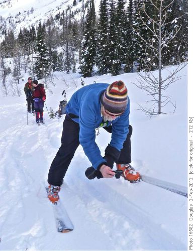 Bill looking at wolverine tracks