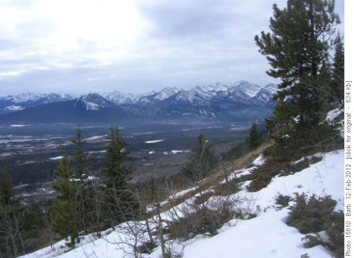 View to west