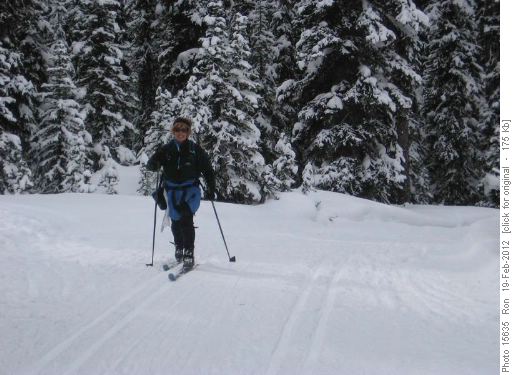 {952 Ginger Bradley} gliding up to Elk Pass