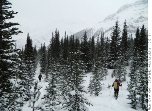 Heading down thru the trees on the west side of the outlier