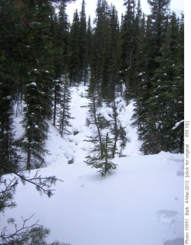 James Walker creek above lake