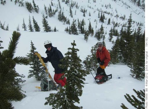 At the top of the tree triangle