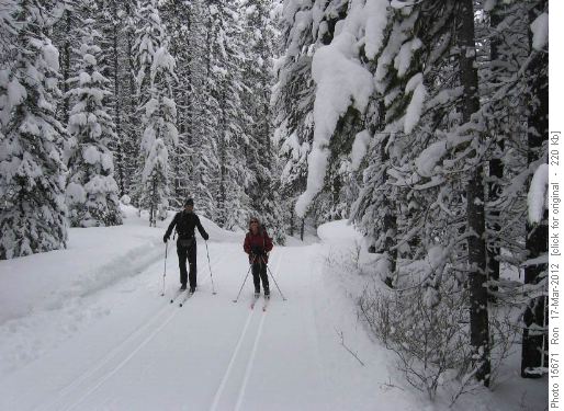 {1149 Bern Rosner} & {206 Barb mitchell} on Whiskeyjack; note powder poodles on the tree branches waiting to leap on unsuspecting skiers.